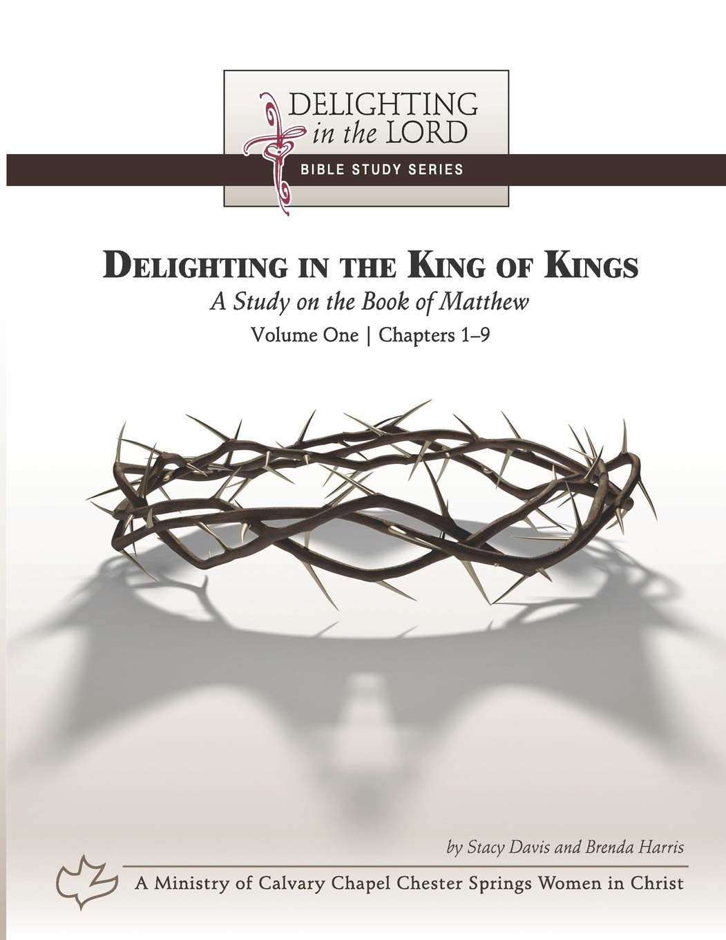 Delighting in the King of Kings: A Study on the Book of Matthew - Volume One: Chapters 1-9 (Delighting in the Lord Bible Study)