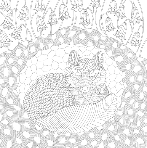 Millie Marotta's Woodland Wild (A Millie Marotta Adult Color