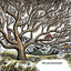 We Are Branches