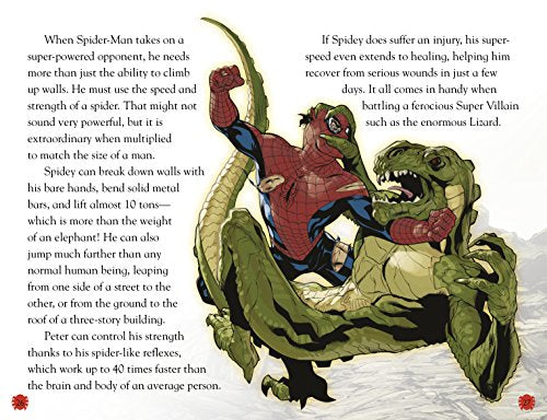 DK Adventures: Marvels Spider-Man: Adventures of the Web-Slinger