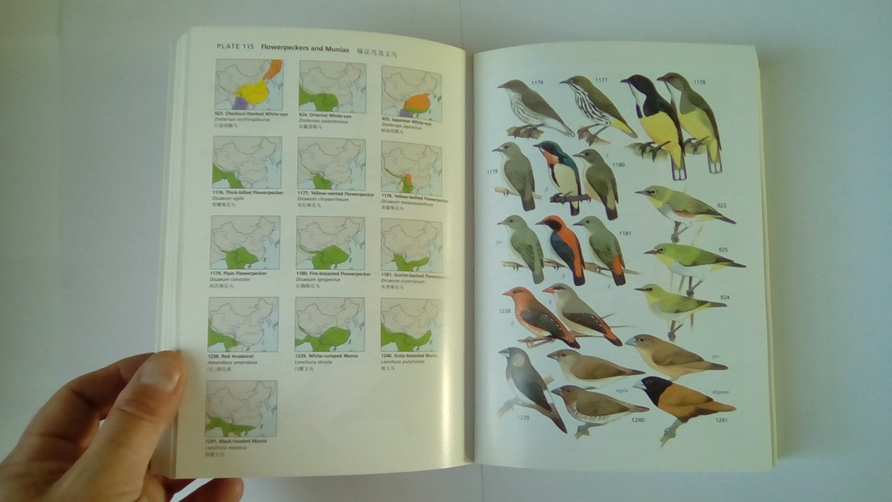 A Field Guide to the Birds of China