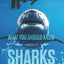 Full Color Version WHAT YOU SHOULD KNOW ABOUT SHARKS: Shark