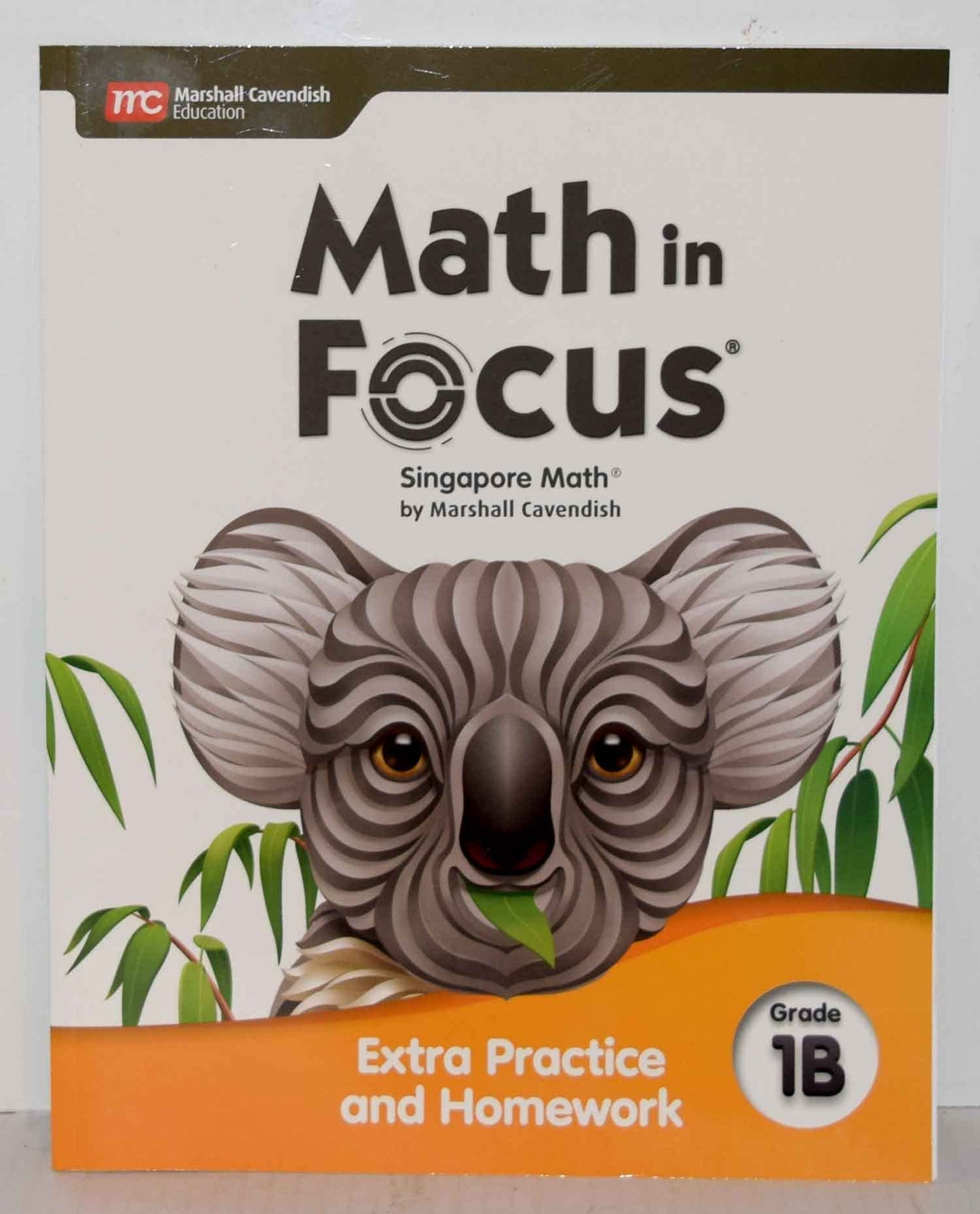 Extra Practice and Homework Volume B Grade 1 (Math in Focus)