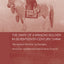 The Diary of a Manchu Soldier in Seventeenth-Century China (Routledge Studies in the Early History of Asia)