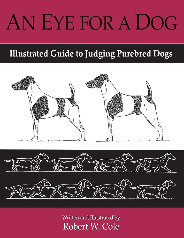 An Eye For a Dog: Illustrated Guide to Judging Purebred Dogs