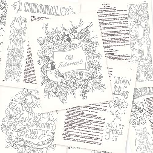 KJV Holy Bible, My Creative Bible, Faux Leather Hardcover - Ribbon Marker, King James Version, Bright Pink w/Elastic Closure (KJV Creative Editions)
