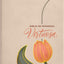 Biblia de Promesas RVR-1960 Devocional, Virtuosa, Letra gigante, Piel especial, Crema (Spanish Edition)
