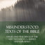 Misunderstood Texts of the Bible: Verses and Teachings of the New Testament Clarified and Explained (Hardcover)