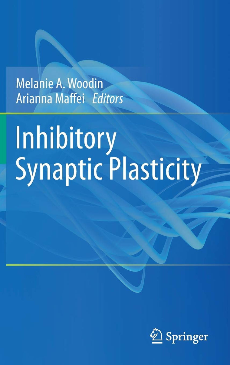 Inhibitory Synaptic Plasticity
