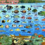 Tahiti & Society Islands Dive Map & Reef Creatures Guide Franko Maps Laminated Fish Card