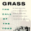 The Call of the Toad