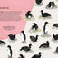 Nests, Eggs, Birds: An Illustrated Aviary