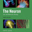 The Neuron: Cell and Molecular Biology