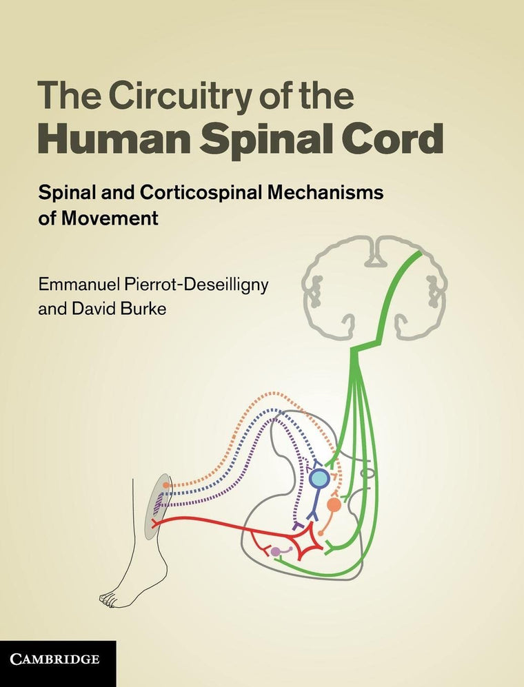 The Circuitry of the Human Spinal Cord: Spinal and Corticospinal Mechanisms of Movement
