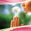 Pure Womanhood: Catholic Edition