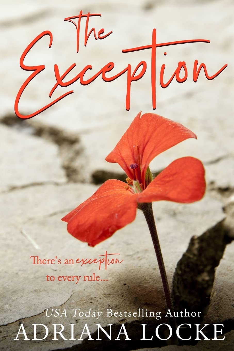 The Exception (The Exception Series)