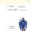 1100 SHORT & USEFUL KOREAN PHRASES FOR BEGINNERS