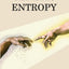 Genetic Entropy