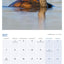 2025 Comedy Wildlife Photography Awards Wall calendar: Plastic Free Packaging