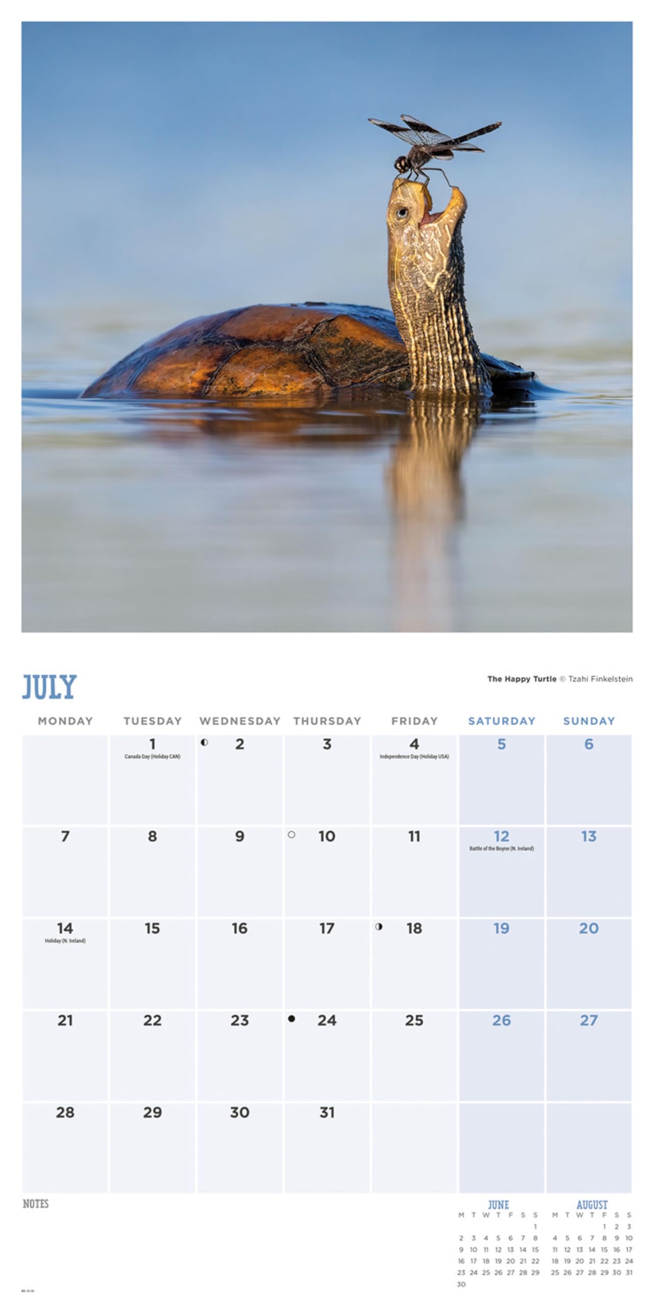 2025 Comedy Wildlife Photography Awards Wall calendar: Plastic Free Packaging