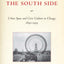 Building the South Side: Urban Space and Civic Culture in Chicago, 1890-1919 (Historical Studies of Urban America)
