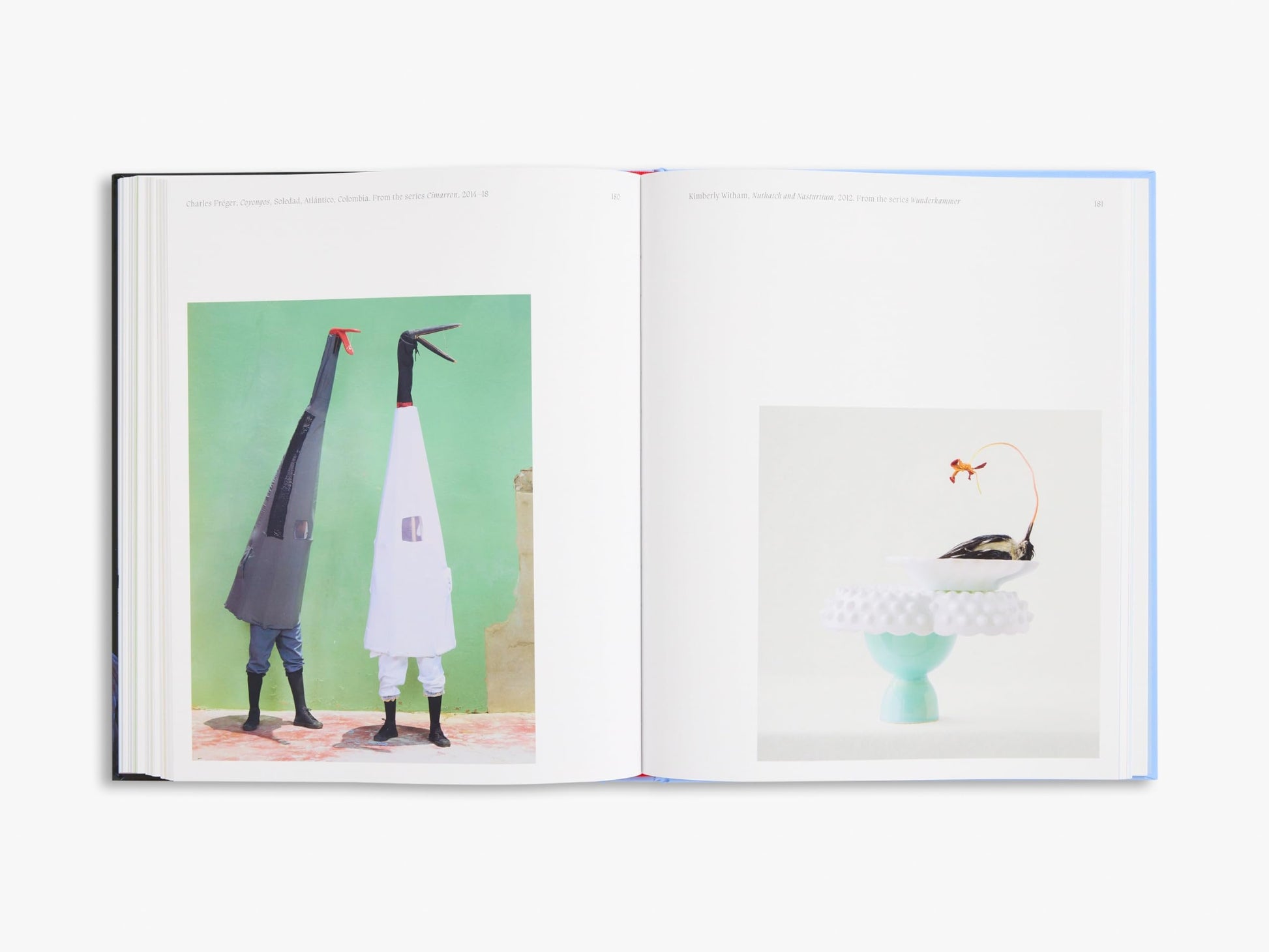 Aviary: The Bird in Contemporary Photography