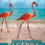 Intermediate Algebra, 4th Edition by Miller, Julie