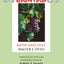 Dionysus: Myth and Cult by Otto, Walter F.