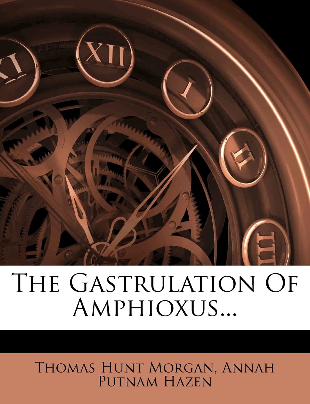 The Gastrulation of Amphioxus...