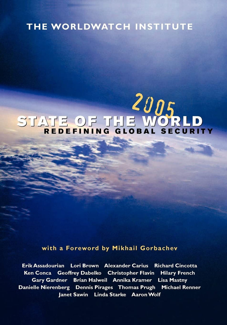State of the World 2005: Redefining Global Security (State of the World (Paperback))