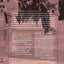 Century of Struggle: The Woman's Rights Movement in the United States, Enlarged Edition