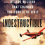 Indestructible: One Man's Rescue Mission That Changed the Course of WWII