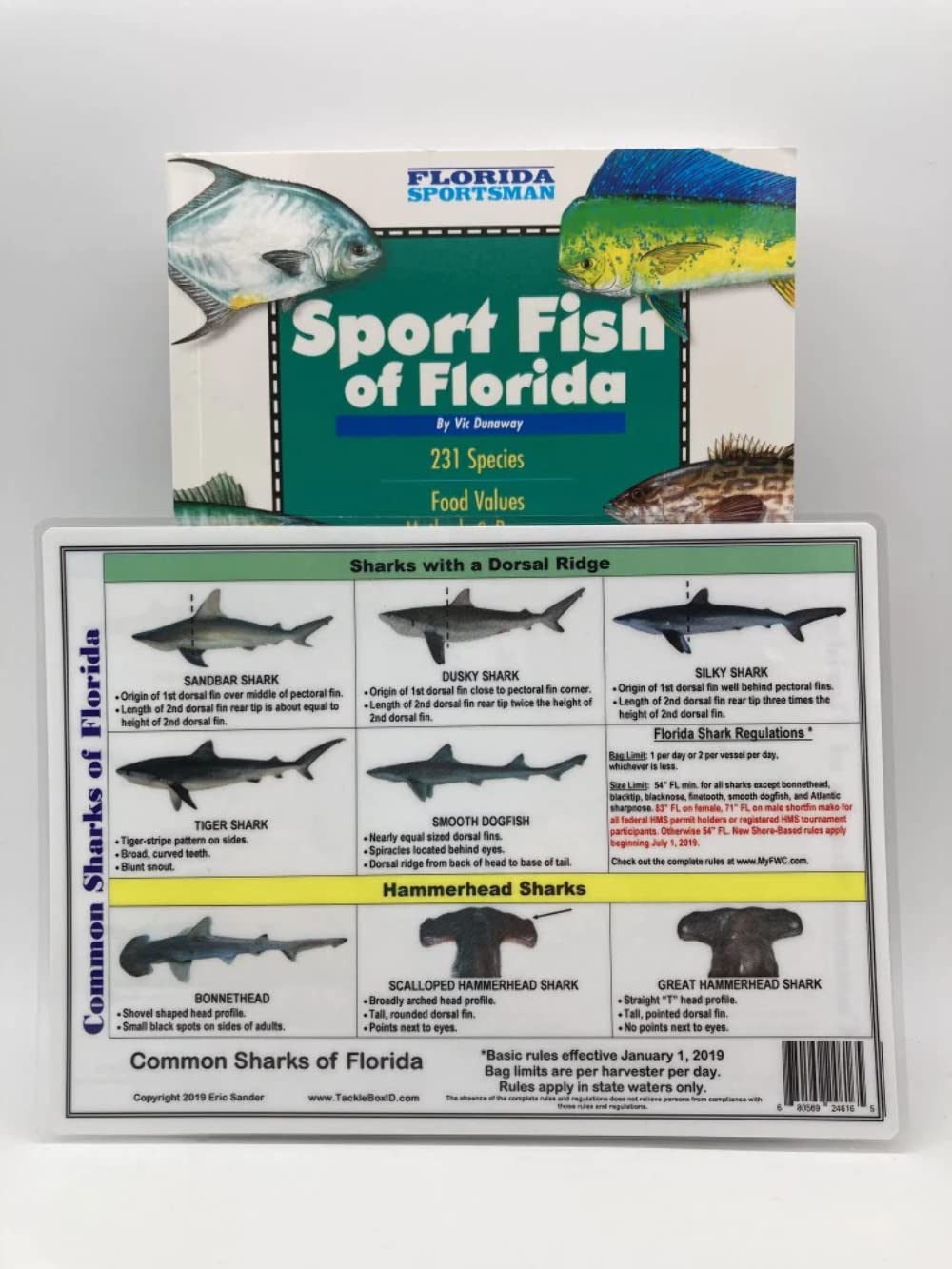 Sport Fish of Florida