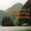 Zen Teaching of Instantaneous Awakening: being the teaching of the Zen Master Hui Hai, known as the Great Pearl