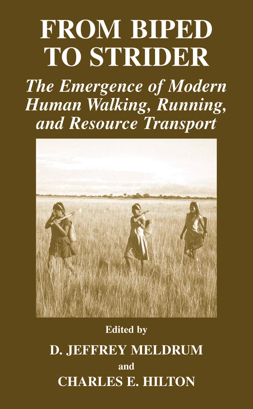 From Biped to Strider: The Emergence of Modern Human Walking, Running, and Resource Transport