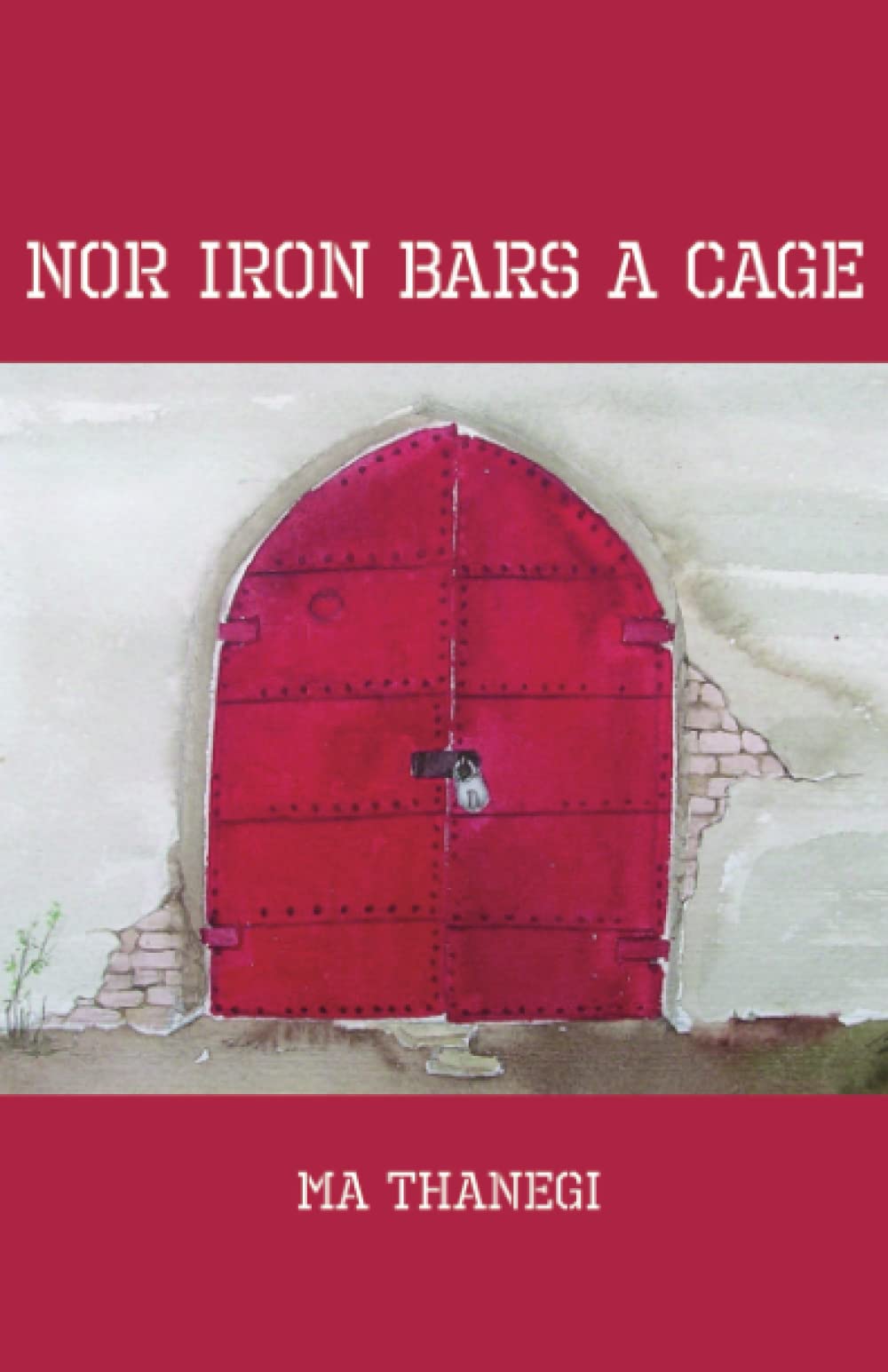 Nor Iron Bars a Cage