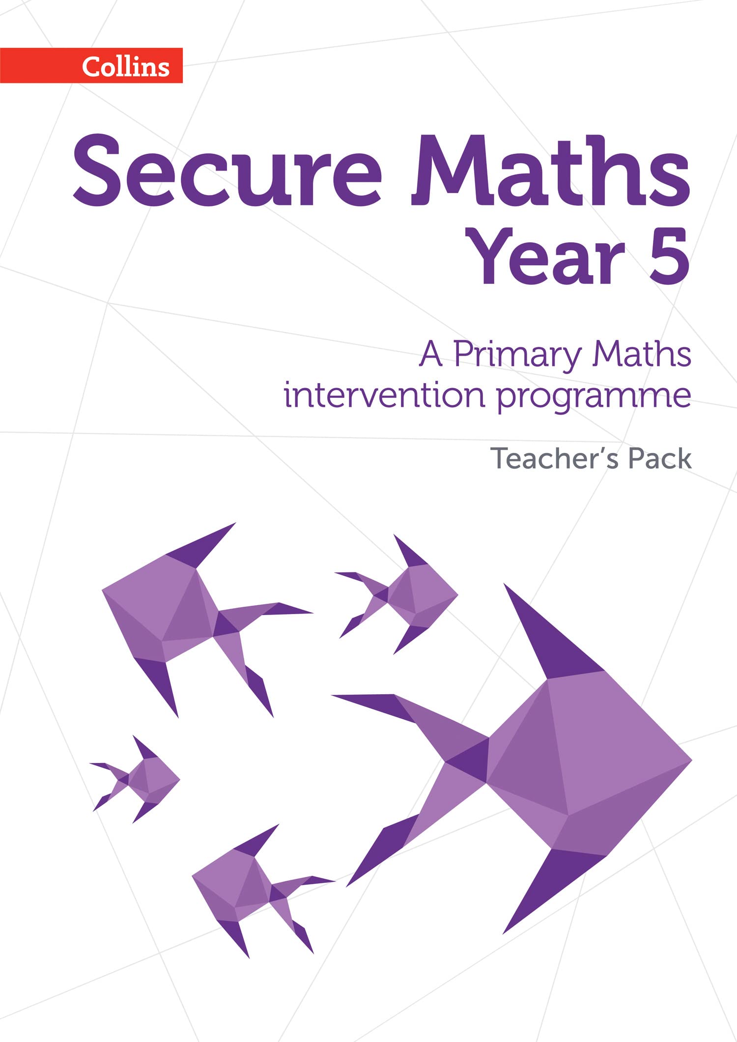 Secure Maths - Secure Year 5 Maths Teachers Pack: A Primary Maths Intervention Programme