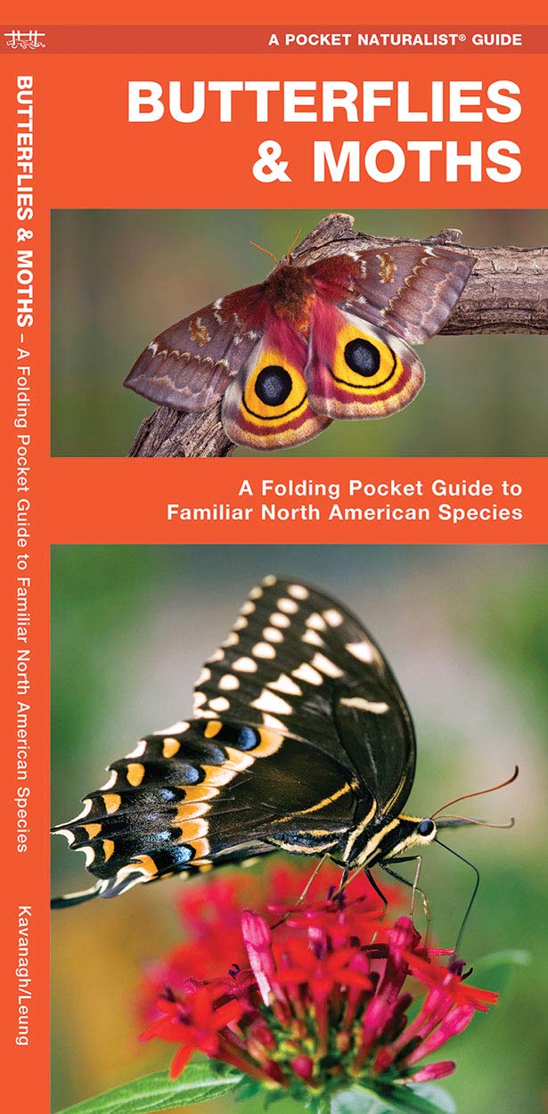 Butterflies & Moths: A Folding Pocket Guide to Familiar North American Species (A Pocket Naturalist Guide)