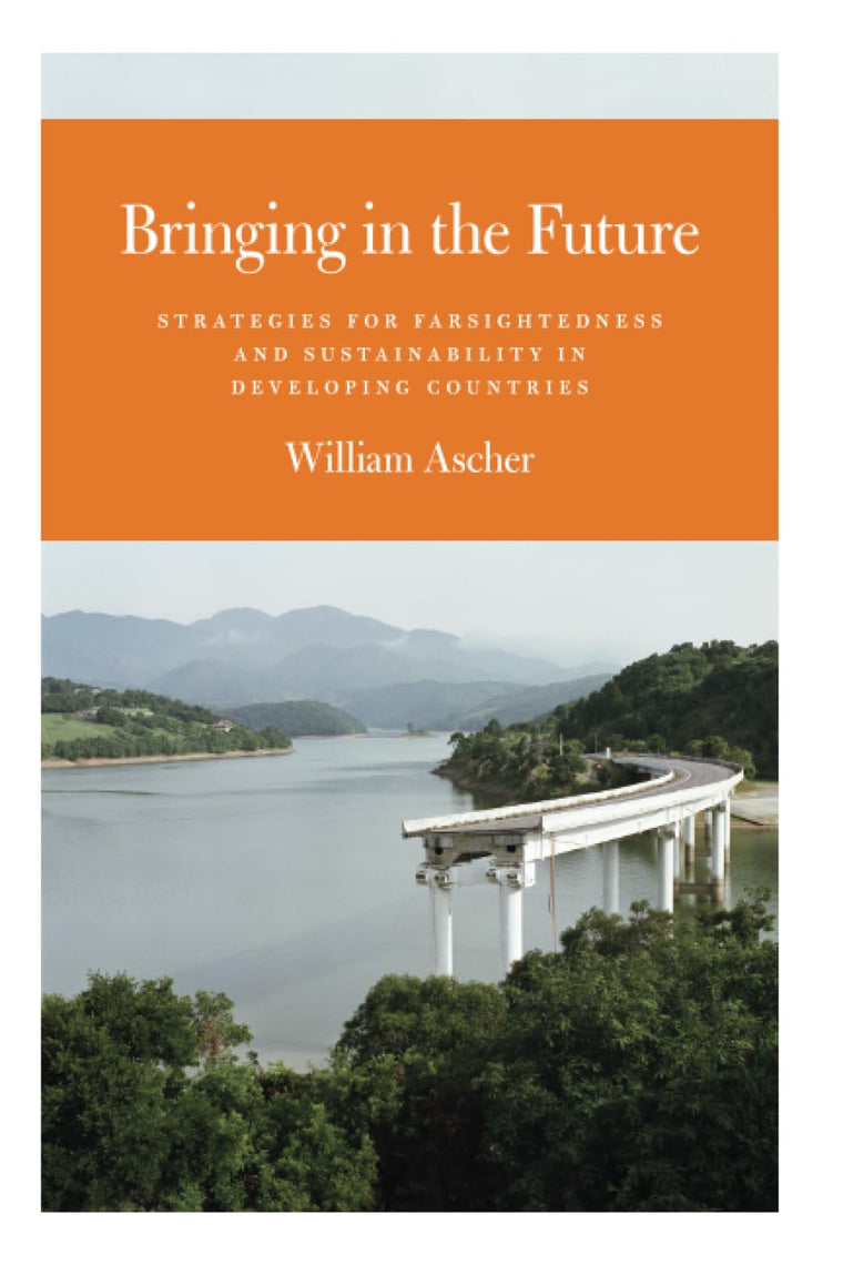 Bringing in the Future: Strategies for Farsightedness and Sustainability in Developing Countries