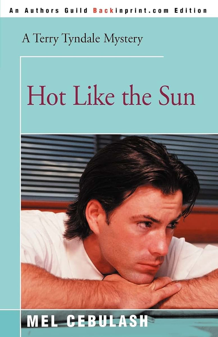 Hot Like the Sun (Terry Tyndale Mysteries)