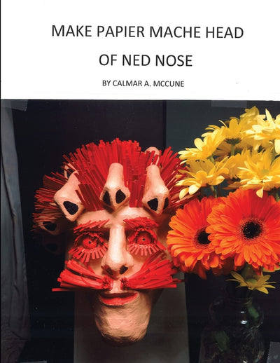 Make Papier Mache head of Ned Nose