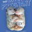 So Your Bitch Is Pregnant: Raising Your First Litter of Puppies From Pregnancy to Placement