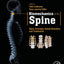 Biomechanics of the Spine: Basic Concepts, Spinal Disorders and Treatments