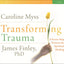 Transforming Trauma: A Seven-Step Process for Spiritual Healing