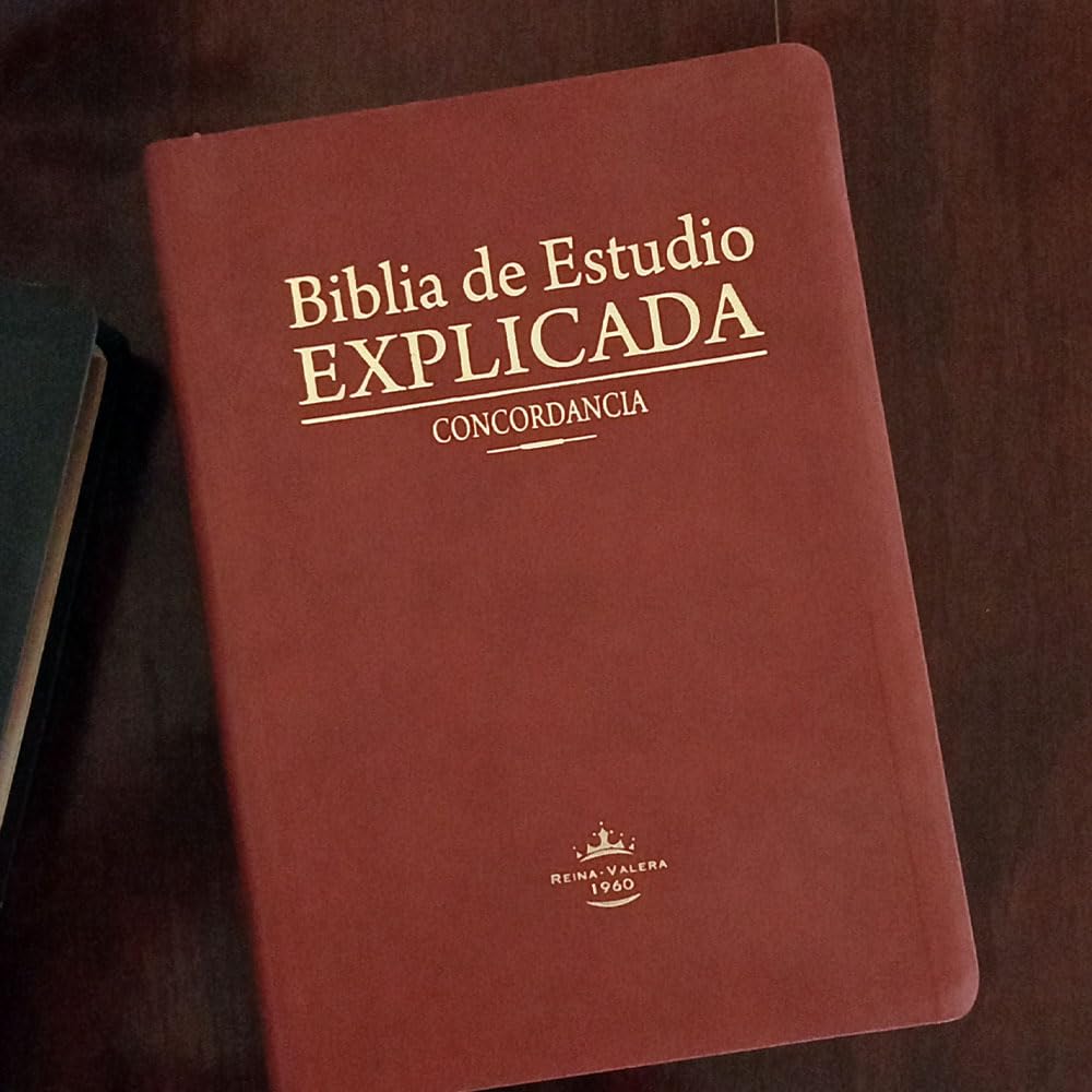 Biblia de estudio Explicada (Piel especial marrón claro) (Spanish Edition)
