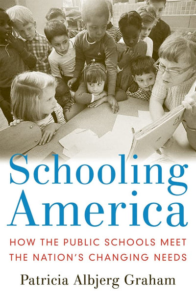 Schooling America: How the Public Schools Meet the Nation's Changing Needs (Institutions of American Democracy Series)