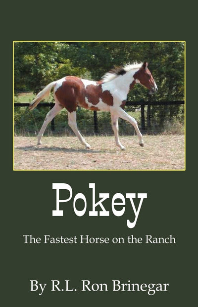 Pokey: The Fastest Horse on the Ranch