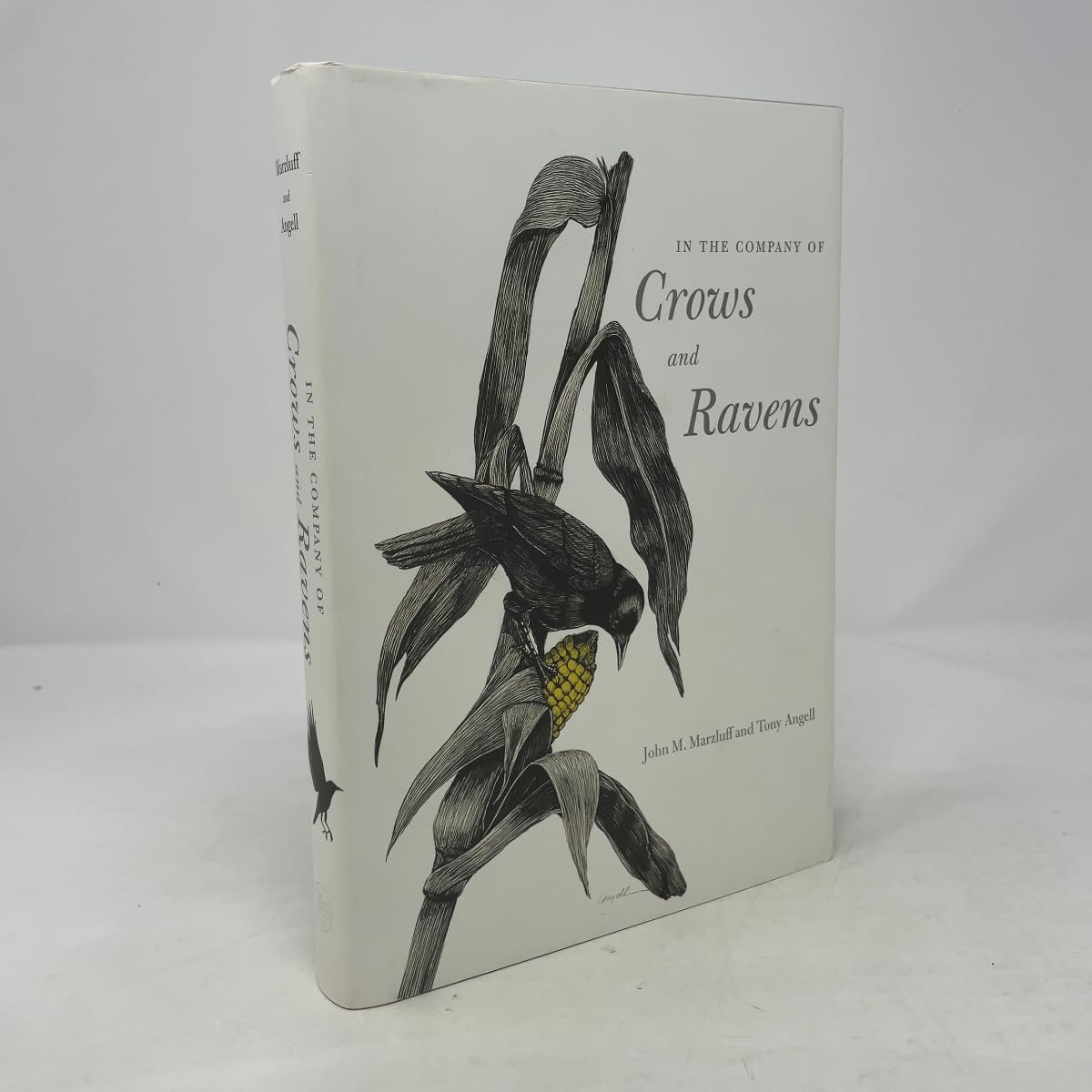 In the Company of Crows and Ravens