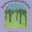 The New Enchanted Broccoli Forest: [A Cookbook] (Mollie Katzen's Classic Cooking (Paperback))