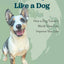 Treat Everyone Like a Dog: How a Dog Trainers World View Can Improve Your Life